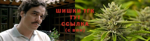 стафф Аркадак