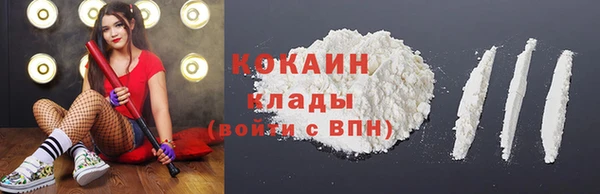 стафф Аркадак