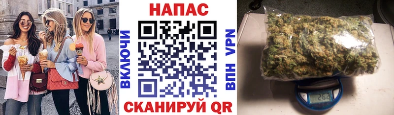 сколько стоит  Покров  Каннабис MAZAR 